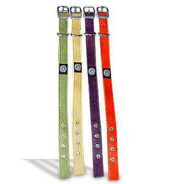 Hemp Dog Collar from Planet Dog